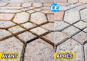 Natural Baking Soda Moss Killer: Proven DIY Recipe for Terraces and Patios