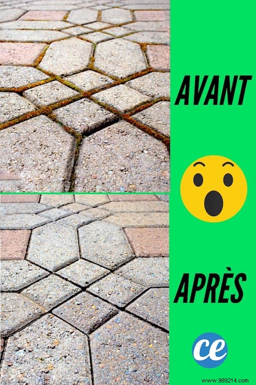 Natural Baking Soda Moss Killer: Proven DIY Recipe for Terraces and Patios