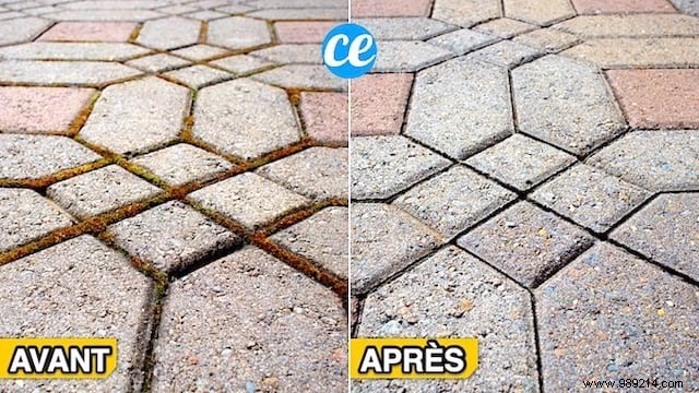 Natural Baking Soda Moss Killer: Proven DIY Recipe for Terraces and Patios