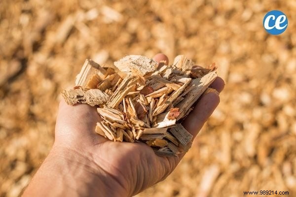 Mulching Guide: Benefits, Types, and Best Choices for Gardens and Vegetable Patches