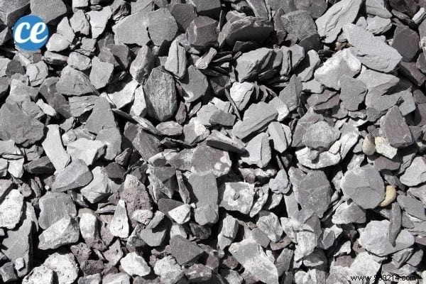 Mulching Guide: Benefits, Types, and Best Choices for Gardens and Vegetable Patches