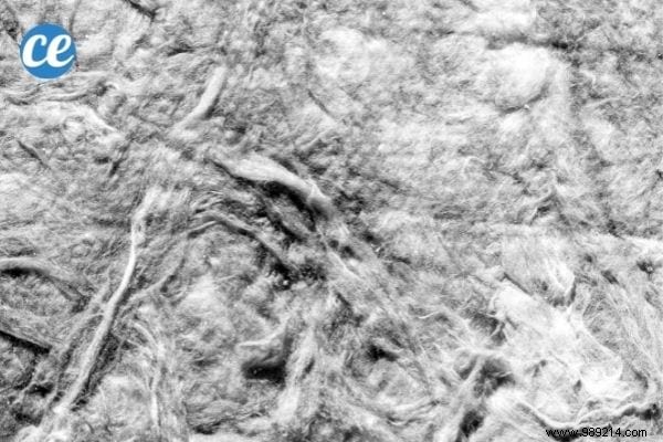 Mulching Guide: Benefits, Types, and Best Choices for Gardens and Vegetable Patches