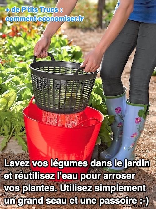 Save Water in Your Garden: Wash Vegetables Outdoors and Reuse the Rinse Water