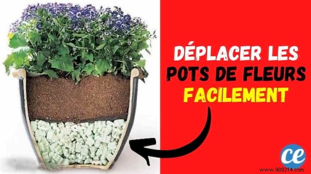 Gardening Hack: Lighten Heavy Flower Pots with Polystyrene for Easy Moving