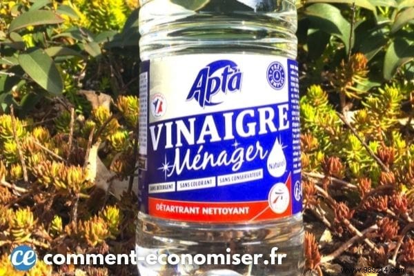 Is White Vinegar a Safe Weed Killer? Expert Insights on Effectiveness and Risks