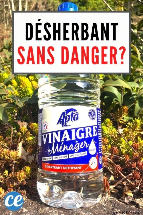 Is White Vinegar a Safe Weed Killer? Expert Insights on Effectiveness and Risks