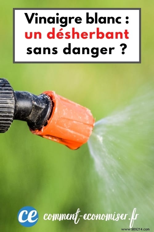 Is White Vinegar a Safe Weed Killer? Expert Insights on Effectiveness and Risks