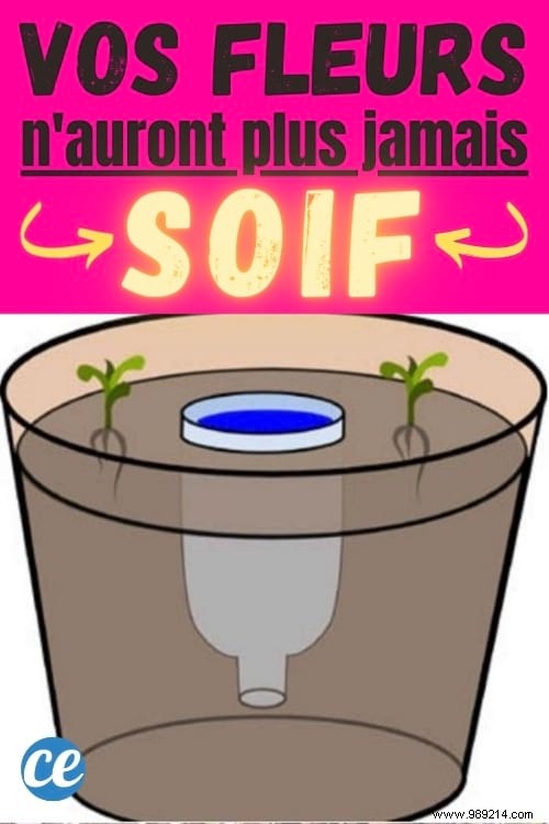 DIY Self-Watering Reservoir for Potted Plants: 2-Minute Hack with One Plastic Bottle