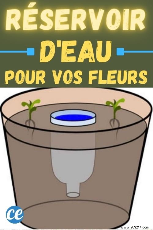 DIY Self-Watering Reservoir for Potted Plants: 2-Minute Hack with One Plastic Bottle