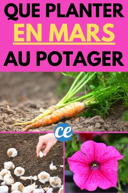 15 Easy Vegetables to Plant in March: Proven Tips from a Seasoned Gardener