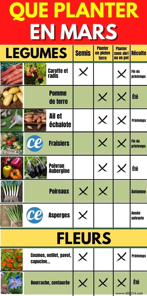 15 Easy Vegetables to Plant in March: Proven Tips from a Seasoned Gardener