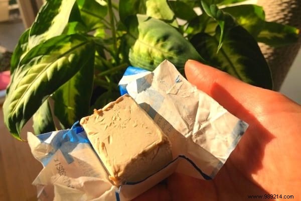 3 Proven Ways to Use Brewer s Yeast for Lush Plants and a Thriving Garden