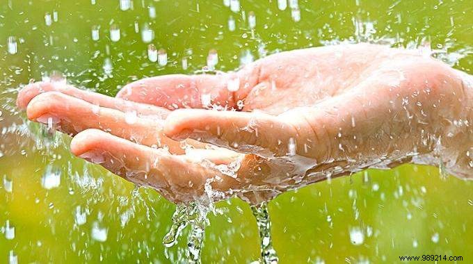 8 Practical Ways to Use Rainwater and Cut Your Water Bill