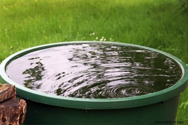 8 Practical Ways to Use Rainwater and Cut Your Water Bill