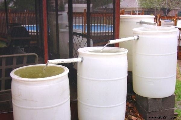 8 Practical Ways to Use Rainwater and Cut Your Water Bill