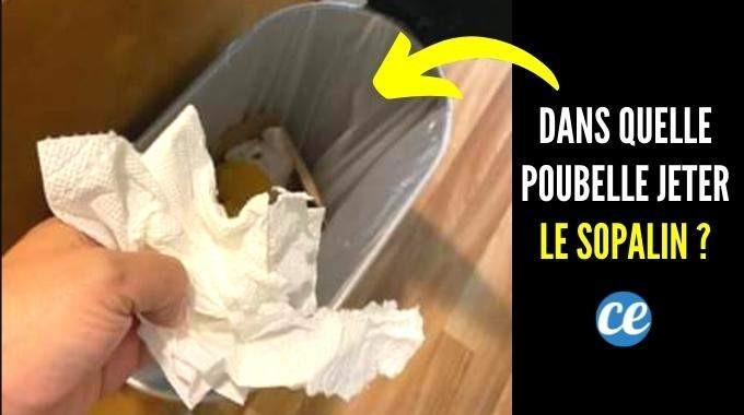 Where Should You Toss Used Paper Towels? Recycling, Trash, or Compost Guide