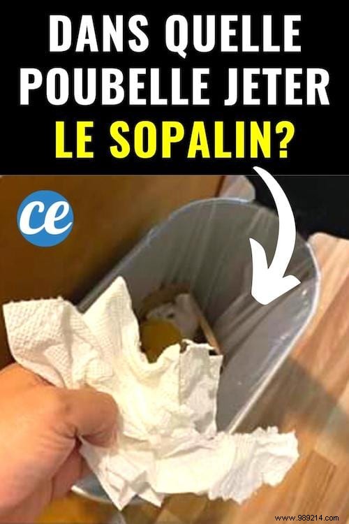 Where Should You Toss Used Paper Towels? Recycling, Trash, or Compost Guide