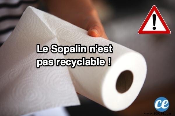 Where Should You Toss Used Paper Towels? Recycling, Trash, or Compost Guide