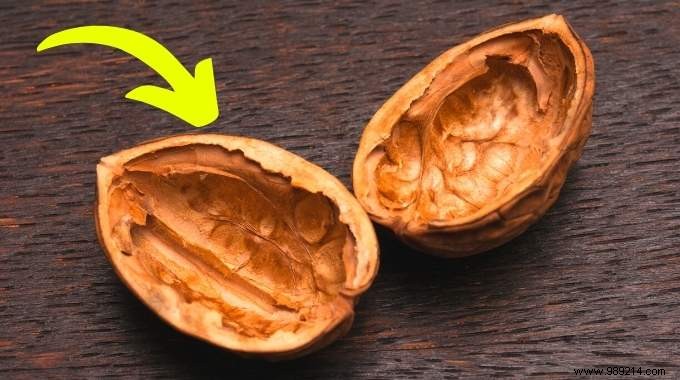 7 Genius Ways to Repurpose Walnut and Hazelnut Shells in Your Garden and Home
