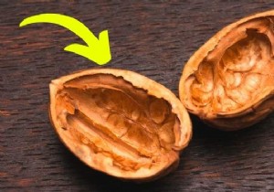 7 Genius Ways to Repurpose Walnut and Hazelnut Shells in Your Garden and Home