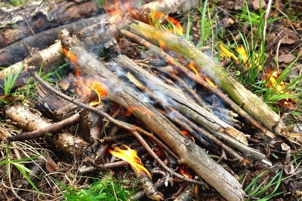 7 Genius Ways to Repurpose Walnut and Hazelnut Shells in Your Garden and Home