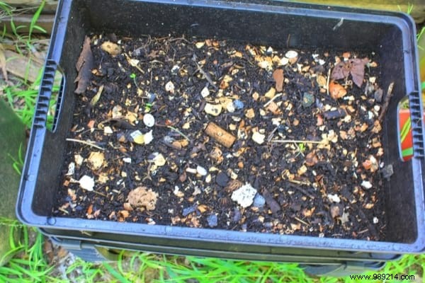 7 Genius Ways to Repurpose Walnut and Hazelnut Shells in Your Garden and Home