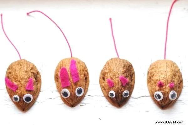 7 Genius Ways to Repurpose Walnut and Hazelnut Shells in Your Garden and Home