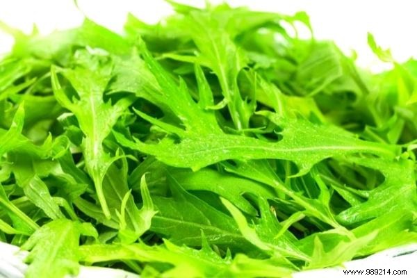 11 Cold-Hardy Vegetables to Plant in October for a Bountiful Fall and Winter Garden