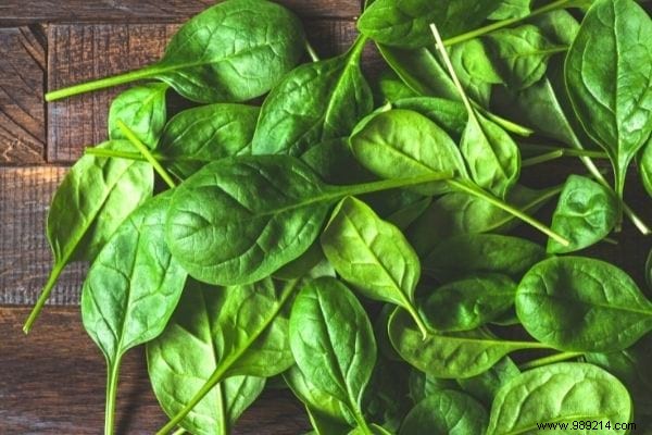 11 Cold-Hardy Vegetables to Plant in October for a Bountiful Fall and Winter Garden