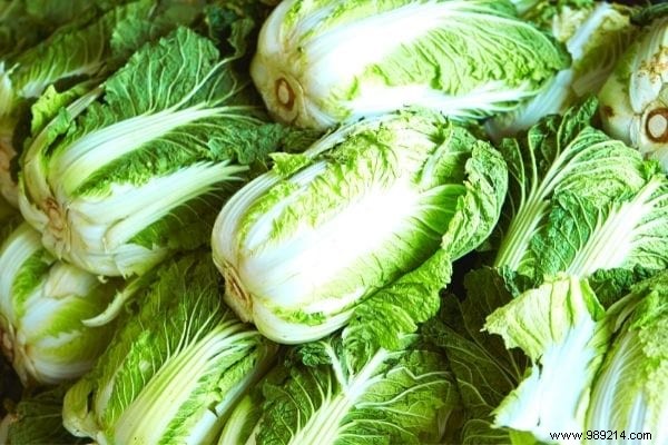 11 Cold-Hardy Vegetables to Plant in October for a Bountiful Fall and Winter Garden