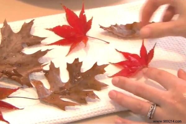 14 Proven Ways to Repurpose Fallen Leaves for a Healthier Garden and Home