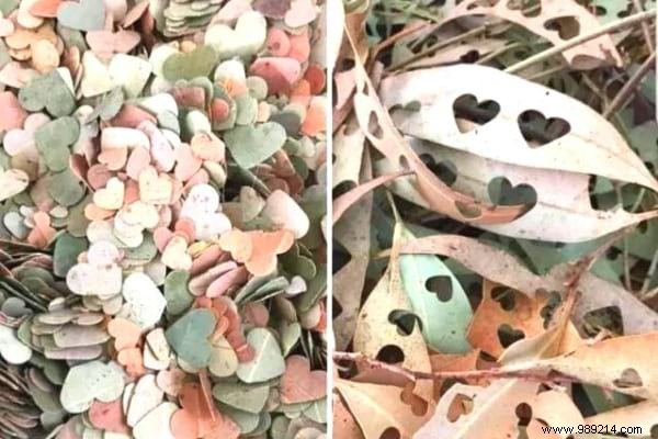 14 Proven Ways to Repurpose Fallen Leaves for a Healthier Garden and Home