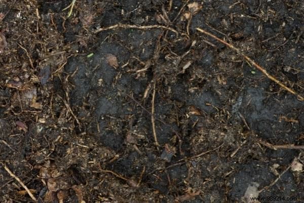 14 Proven Ways to Repurpose Fallen Leaves for a Healthier Garden and Home