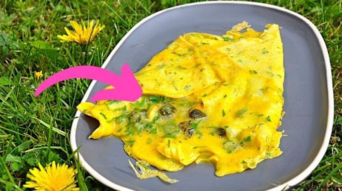 10 Edible Garden Weeds: Turn Common Pests into Nutritious Meals