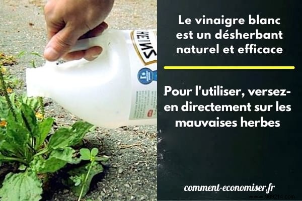 White Vinegar: A Proven Natural Weed Killer? Expert Guide to Effective Use