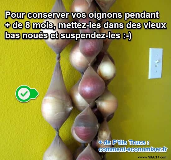 Grandma s Proven Method: Store Onions for 8+ Months Without Spoilage