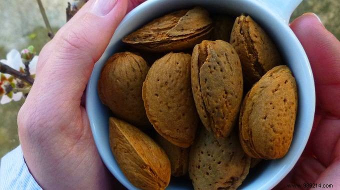 How to Keep Almonds Fresh and Crunchy Longer: A Proven Storage Trick