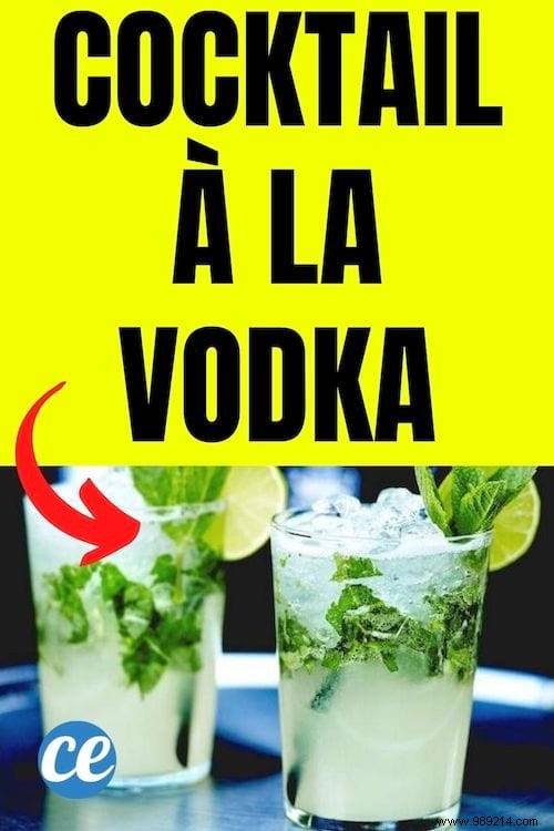 Easy Frozen Vodka Cocktail: Budget-Friendly Recipe to Wow Your Guests
