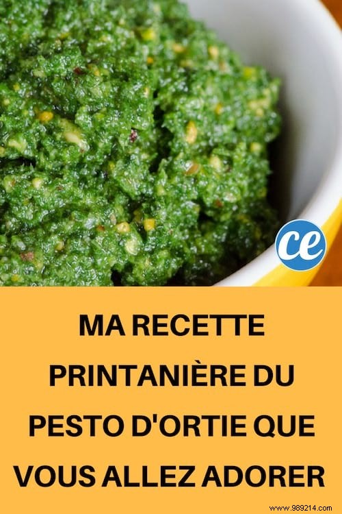 My Tried-and-True Spring Nettle Pesto Recipe – Fresh, Nutritious, and Delicious