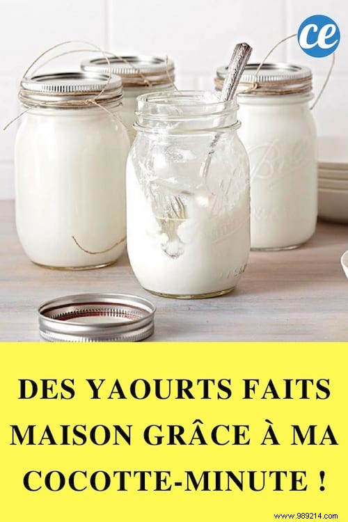 Easy Homemade Yogurt in a Pressure Cooker: My Proven Recipe for Creamy Results