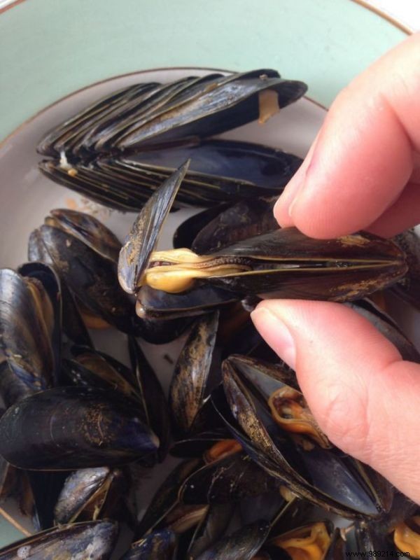 How to Eat Mussels Like a Pro at Restaurants: 2 Essential Tips