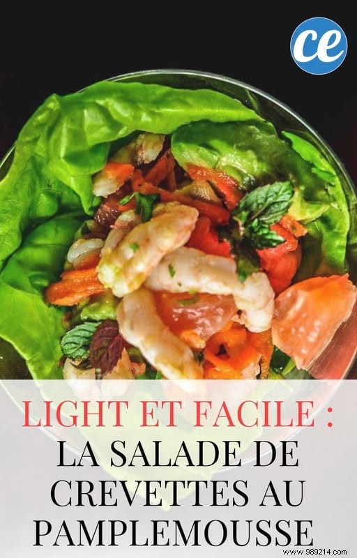 Quick Grapefruit Shrimp Salad: Light, Fresh, and Ready in 15 Minutes