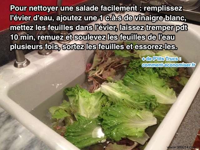Easy Step-by-Step Guide: How to Clean Lettuce Efficiently at Home
