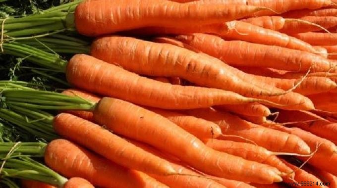 How to Store Carrots for Months: The Proven Sand Method for Long-Lasting Freshness
