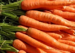 How to Store Carrots for Months: The Proven Sand Method for Long-Lasting Freshness