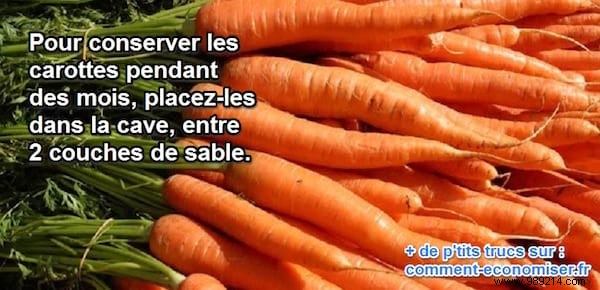 How to Store Carrots for Months: The Proven Sand Method for Long-Lasting Freshness