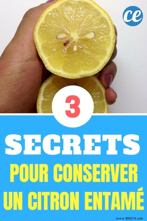 3 Proven Kitchen Hacks to Store a Cut Lemon and Keep It Fresh Longer