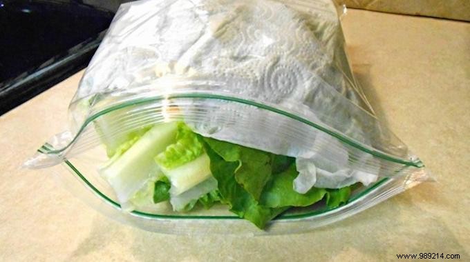 Proven Kitchen Hack: Keep Your Salad Crisp in the Fridge for Days