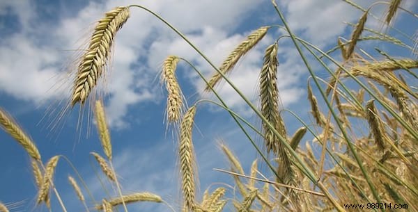 27 Proven Foods and Staples You Can Freeze to Save Time and Money