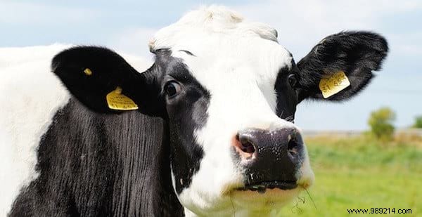 27 Proven Foods and Staples You Can Freeze to Save Time and Money